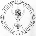 sse logo